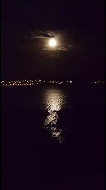 Serenity On Wakeman Taupo Exterior foto